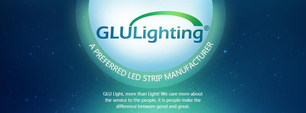 Custom length High CRI Ra95 2835 Flex led ribbon light 